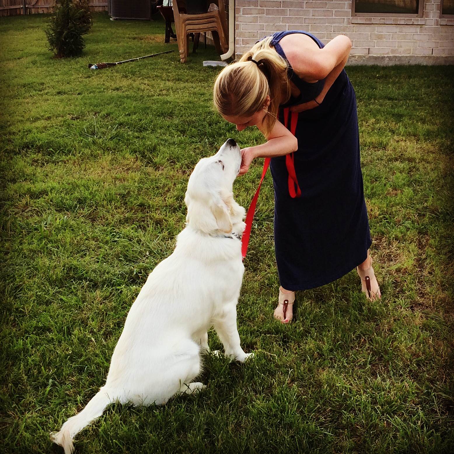 nashville dog training