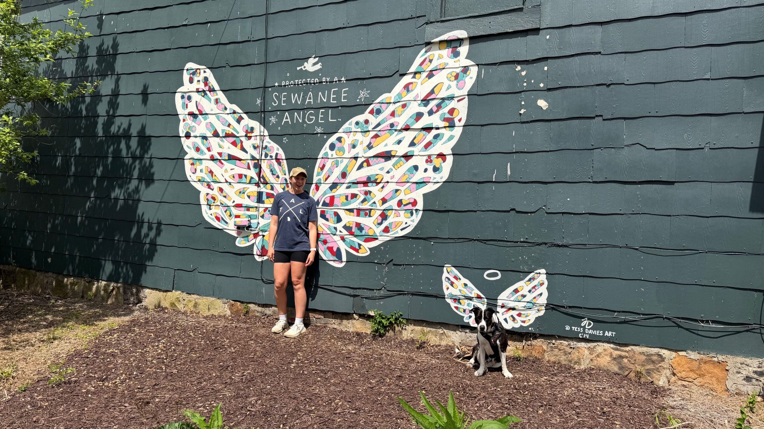 Nashville Dog Trainer